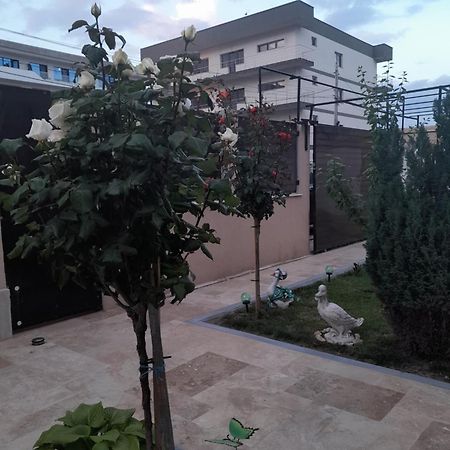 Casa Andrei Daire Navodari Dış mekan fotoğraf