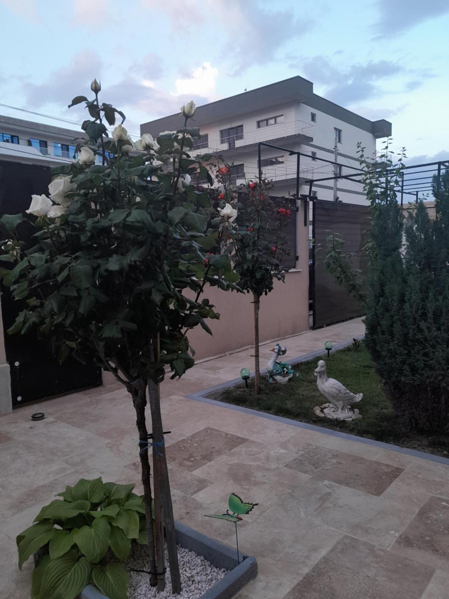 Casa Andrei Daire Navodari Dış mekan fotoğraf